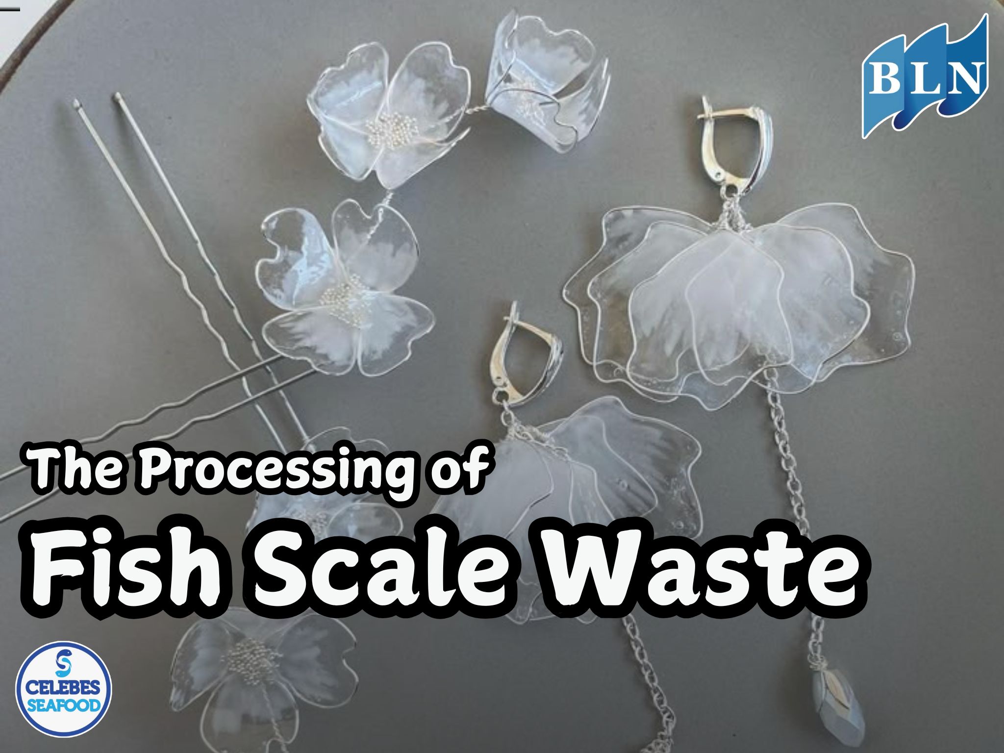 The Processing of Fish Scale Waste into Various Value-Added Products